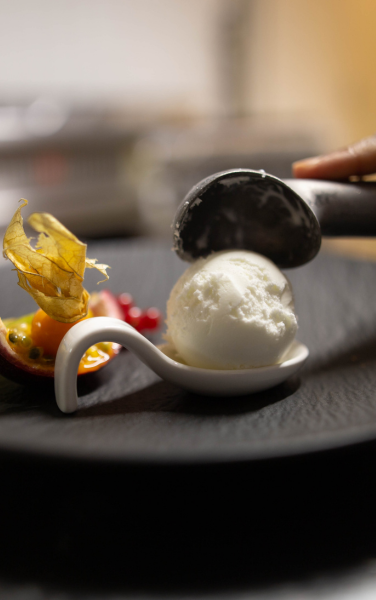 Impala des vignes (6)